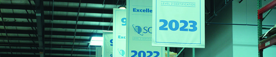 People holding hands in the air with sunset background